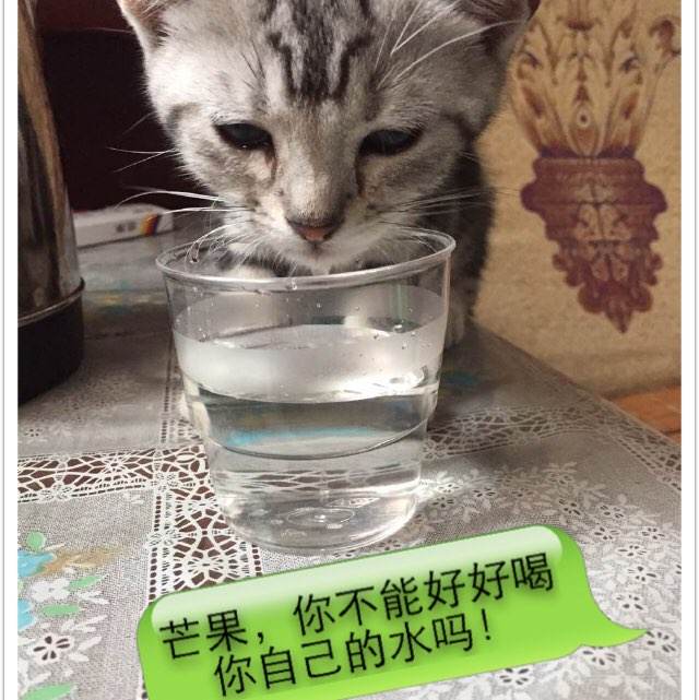 范德堡大学机械工程文凭证书